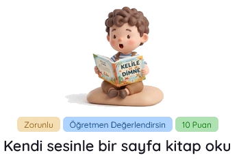 Eğlenceli ve Etkileşimli Aktiviteler