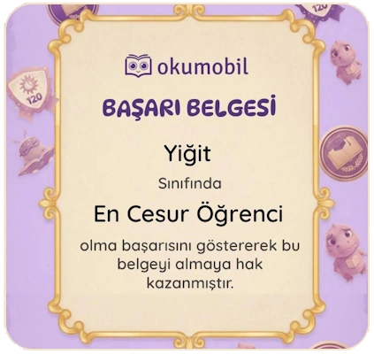 İstatistikler ve Kişiye Özel Başarı Belgeleri